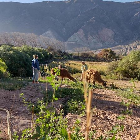 Dormir Con Llamas Maimará المظهر الخارجي الصورة
