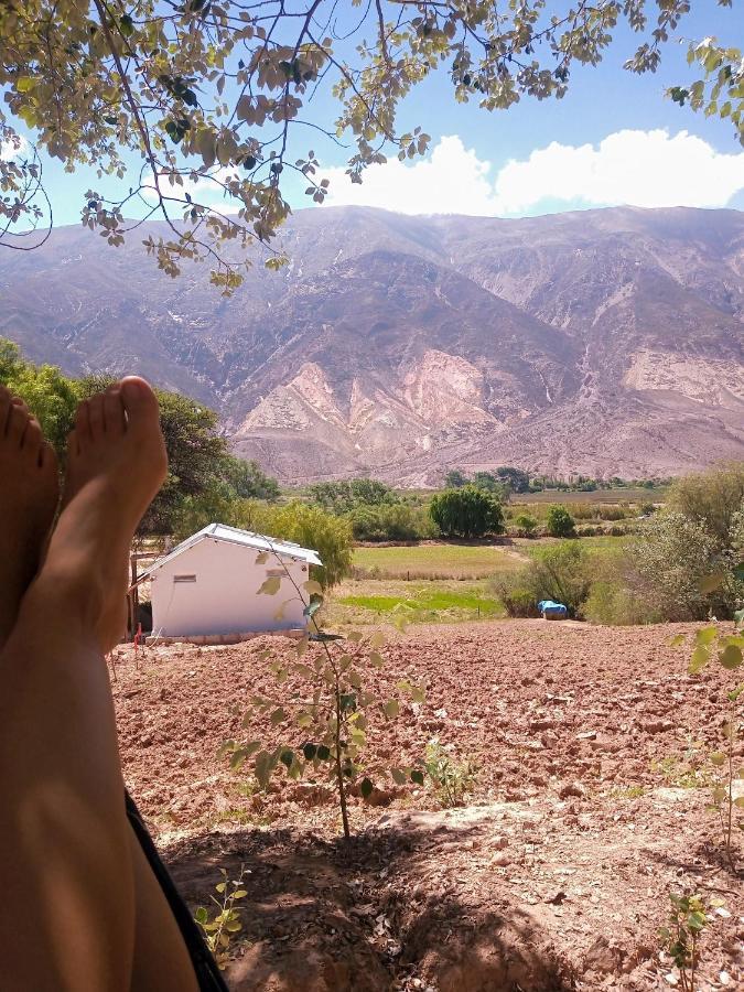 Dormir Con Llamas Maimará المظهر الخارجي الصورة