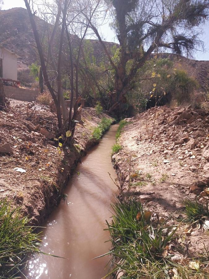 Dormir Con Llamas Maimará المظهر الخارجي الصورة