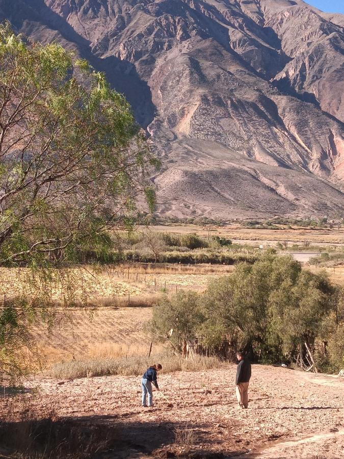 Dormir Con Llamas Maimará المظهر الخارجي الصورة