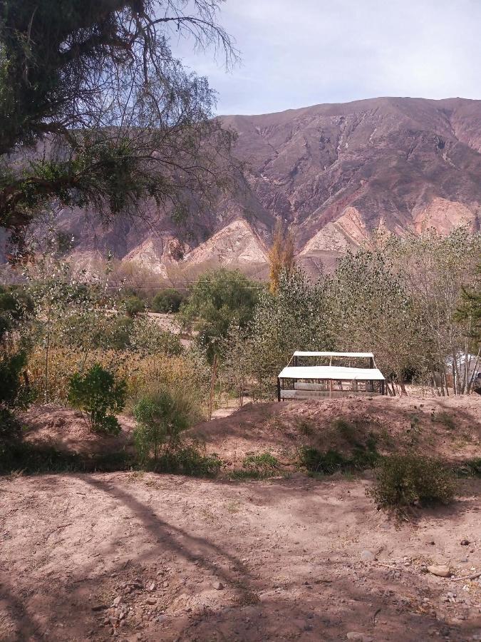 Dormir Con Llamas Maimará المظهر الخارجي الصورة