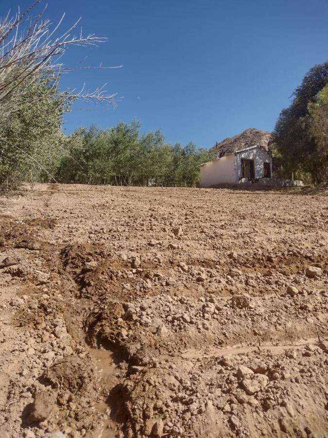 Dormir Con Llamas Maimará المظهر الخارجي الصورة