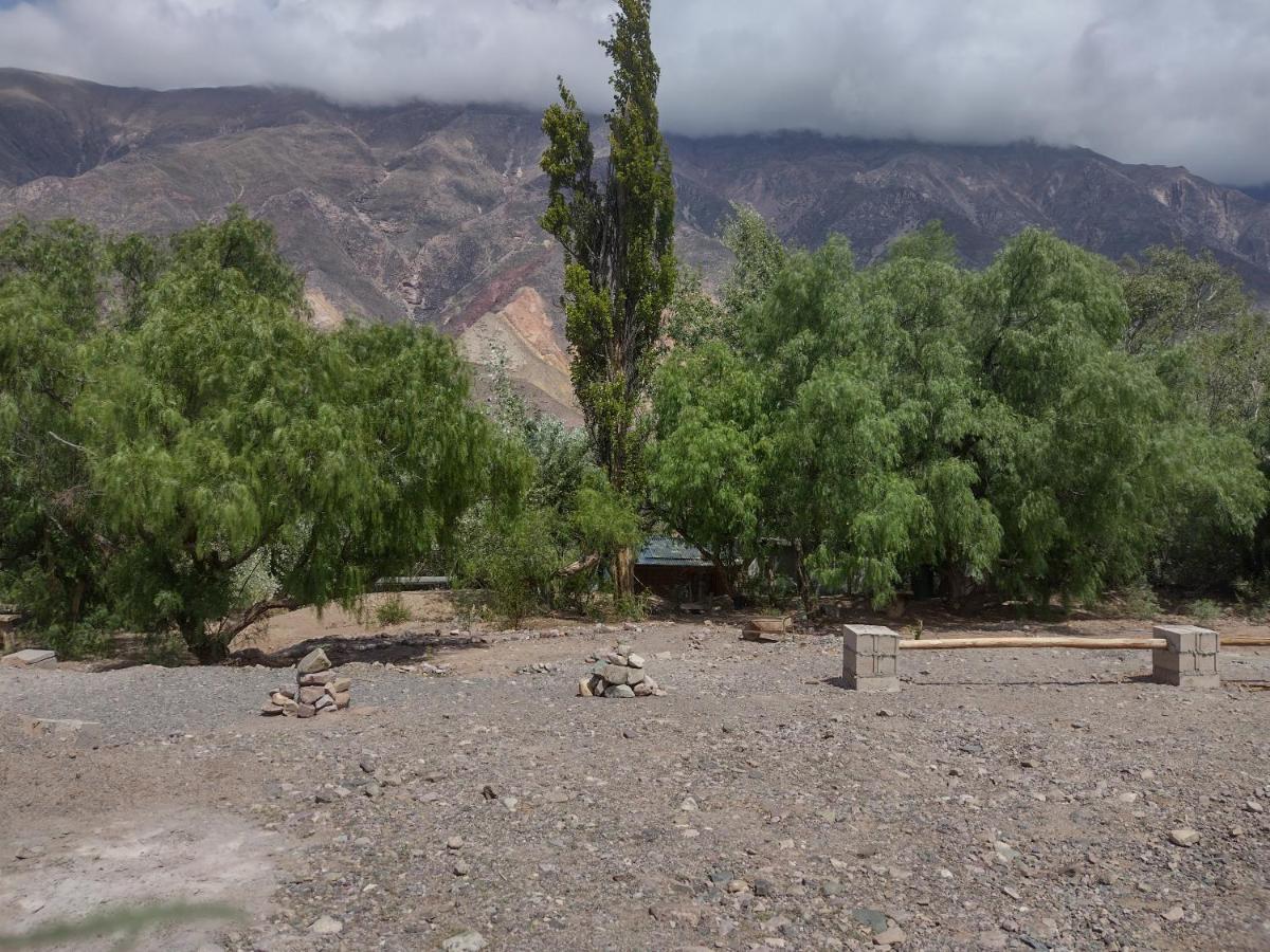 Dormir Con Llamas Maimará المظهر الخارجي الصورة